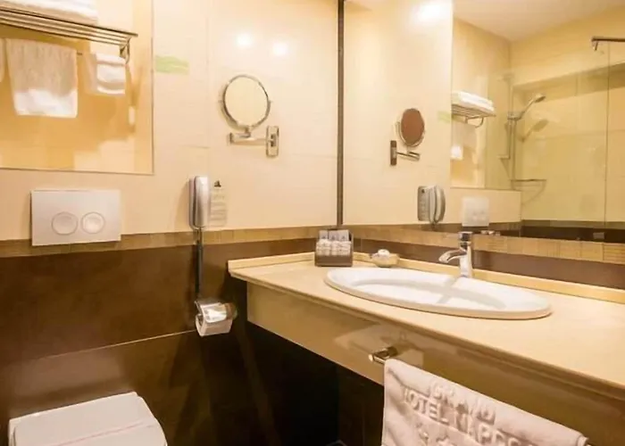 纳波卡大酒店 4* 克卢日-纳波卡